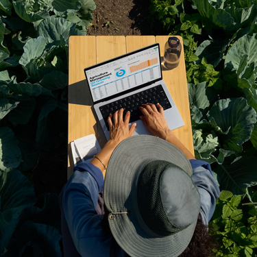 Vista aérea de uma mulher com um chapéu de abas largas a trabalhar numa apresentação empresarial num MacBook, sentada numa mesa num jardim.