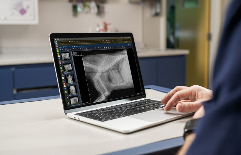 상세한 엑스레이 및 초음파 스캔 이미지가 MacBook Air에 실시간으로 표시됩니다.